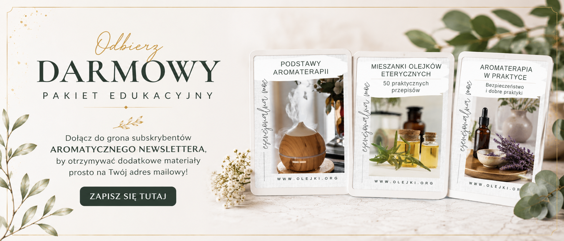 newsletter poziom